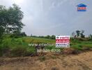 Spacious land plot available for sale with clear signage and lush surroundings