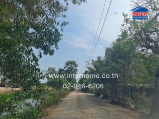 Rural road with surrounding greenery and water canal