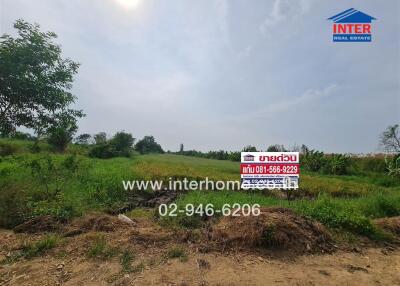 Spacious outdoor land for sale under clear sky