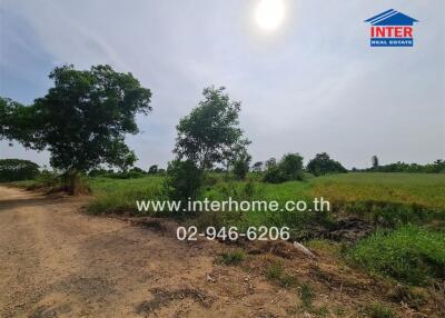 Spacious rural land with clear skies and lush greenery