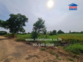 Spacious rural land with clear skies and lush greenery