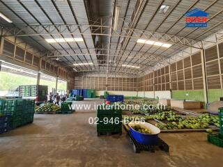 Spacious warehouse interior with stacked crates of produce