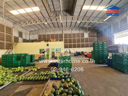 Spacious warehouse interior with storage crates and fresh produce