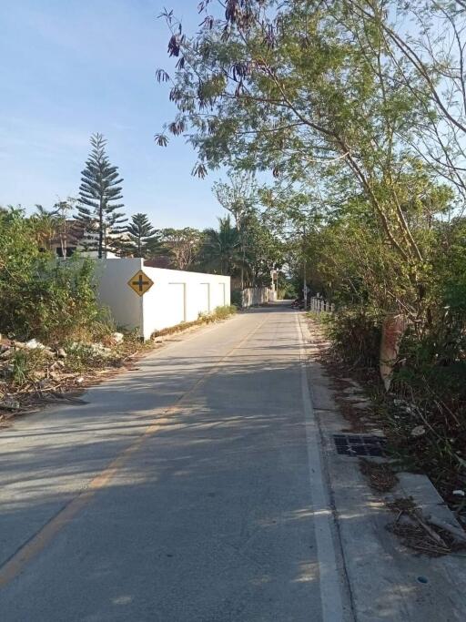 Paved street with residential access and lush greenery on a sunny day