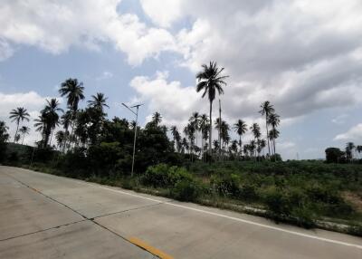 Paved road surrounded by tall palm trees and a single wind turbine under a partly cloudy sky