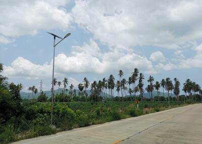 Scenic view of a road with solar-powered street light and lush palm trees