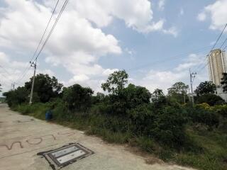 Outdoor view near residential buildings with greenery