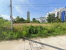 Urban lot with overgrown vegetation near residential buildings