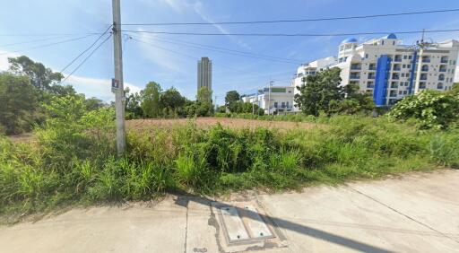 Urban lot with overgrown vegetation near residential buildings