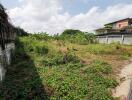 Spacious outdoor area with greenery and potential for landscaping