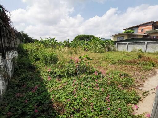 Spacious outdoor area with greenery and potential for landscaping