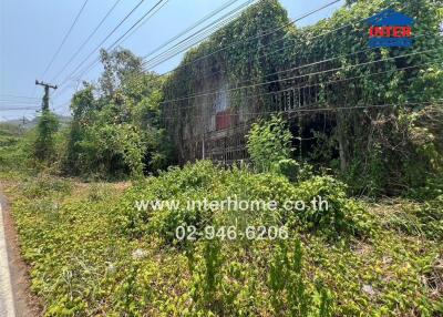 Overgrown building exterior surrounded by greenery