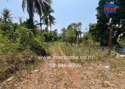 Empty land plot with lush greenery and scattered debris