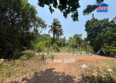 Secluded land plot with dense vegetation and clear sky