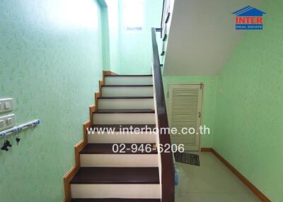 Interior staircase in a residential house with green wallpaper and dark wood steps