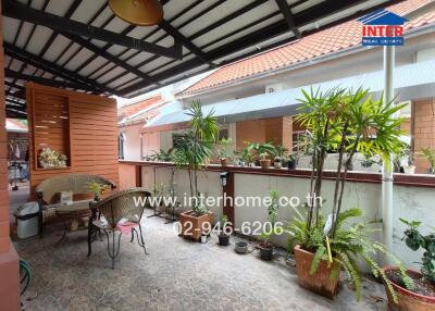 Spacious patio with an array of plants and a shaded sitting area