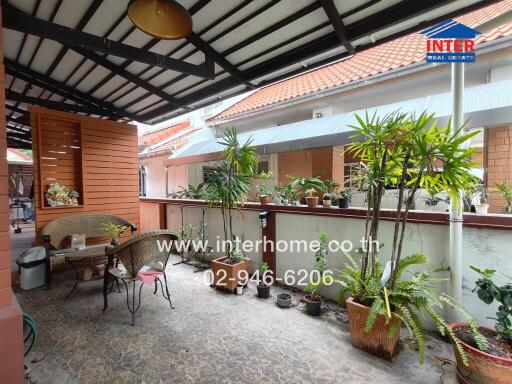 Spacious patio with an array of plants and a shaded sitting area