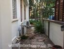 Cozy residential outdoor hallway with natural pathway and greenery