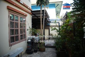 Side yard of a residential building with plants and pathway