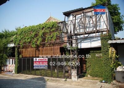 Exterior view of a rustic building with abundant green ivy
