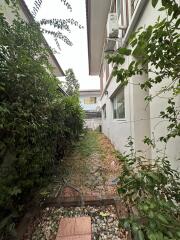 Narrow outdoor pathway beside a house with greenery