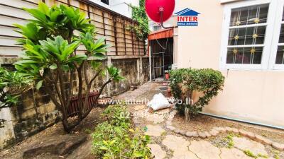 Spacious garden with green plants and walking path in residential property