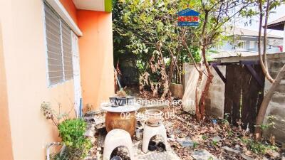 View of a small, outdoor side yard with various pots and plants adjacent to an orange building