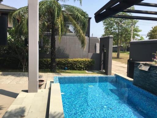 Outdoor swimming pool surrounded by palm trees with nearby residence