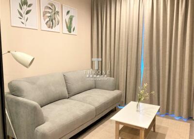 Cozy living room with gray sofa and minimalist decor
