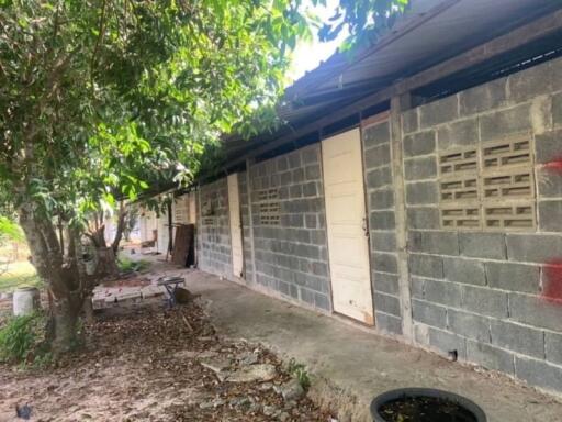 Unfinished rural building exterior with cinder block walls