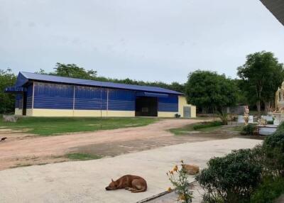 Large blue warehouse with surrounding greenery and animals