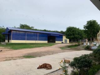 Large blue warehouse with surrounding greenery and animals