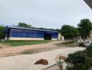 Large blue warehouse with surrounding greenery and animals