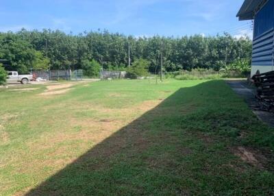 Spacious green lawn beside a building with a view of a wooded area