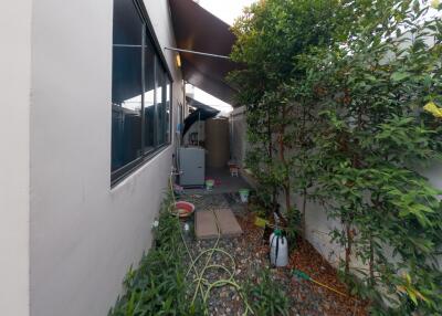 Narrow side yard with pathway and decorative plants next to a modern home