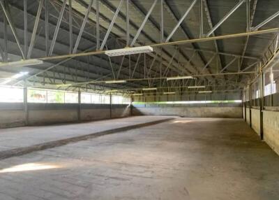 Spacious indoor arena in a large building suitable for equestrian activities