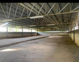 Spacious indoor arena in a large building suitable for equestrian activities