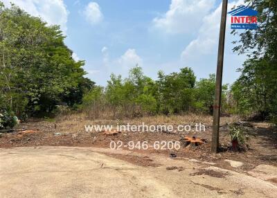 Empty land plot with untended vegetation and partial paving