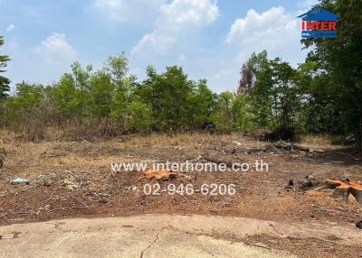 Empty land with overgrown vegetation and clear blue sky