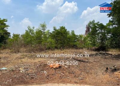 Vacant land plot with clear sky and some wild vegetation