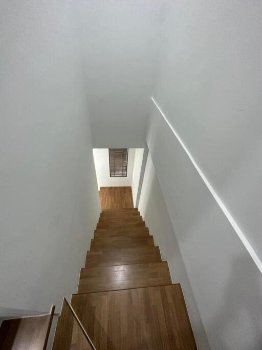 Wooden staircase with white walls in modern home