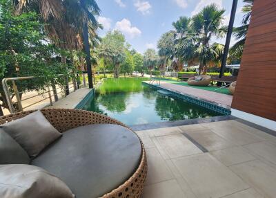 Outdoor area with pool and garden