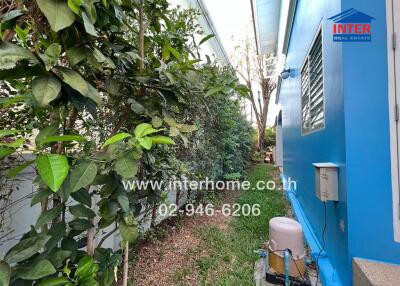Side yard of a residential property with blue exterior walls and greenery along a pathway