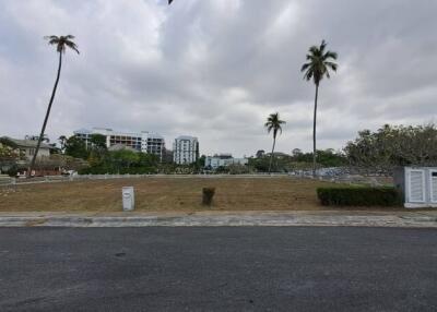 Empty outdoor lot with palm trees and nearby buildings