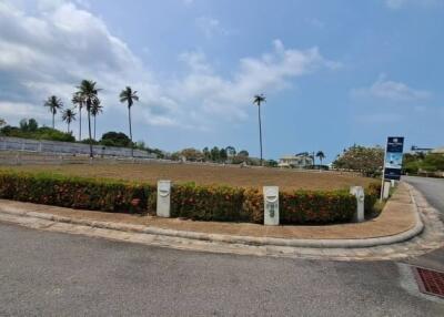 Vacant lot with surrounding road and palm trees in a residential area
