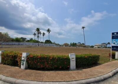 vacant land plot with adjacent road and palm trees