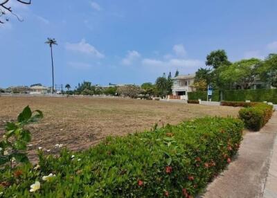 Vacant land surrounded by greenery in a residential area