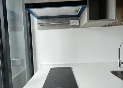 Modern kitchen with induction stove and ventilation hood