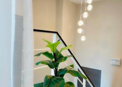 Stylish staircase with modern lighting