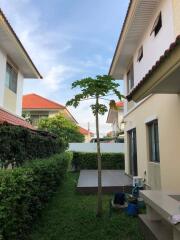 Residential outdoor area with garden and tree